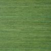 RAFFIA PALM T24074